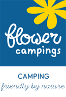 camping flower