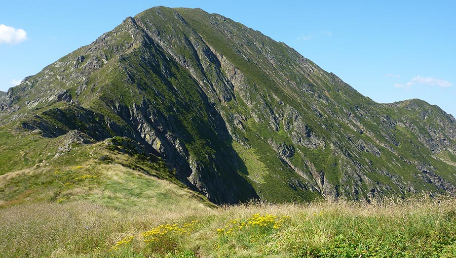 allotja't al cor d'Occitània