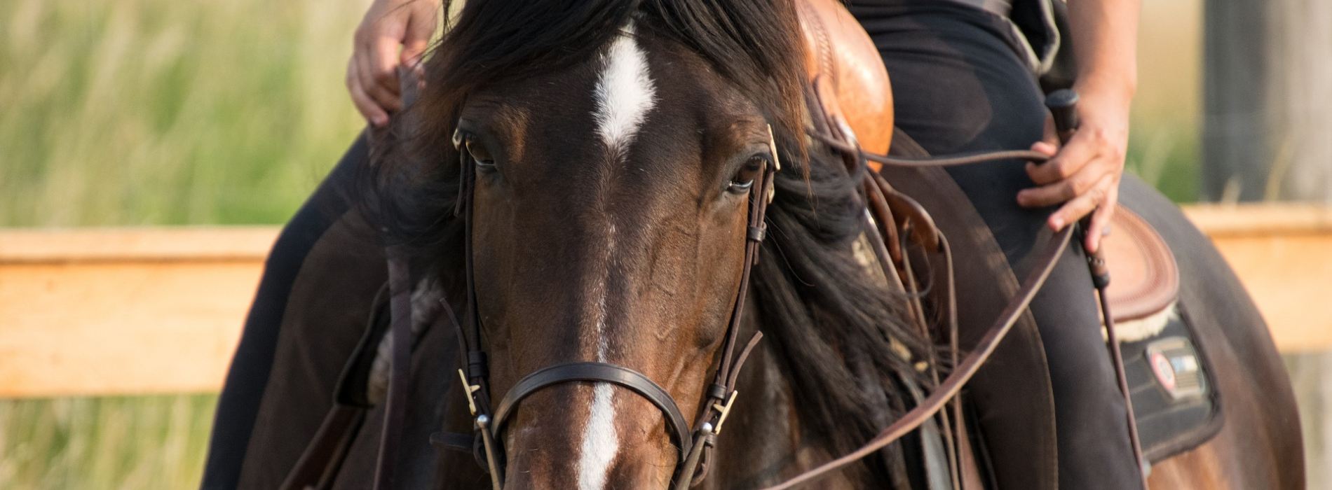 Balade à cheval en Ariège 